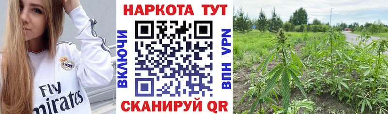 Наркотические вещества Лукоянов гидра рабочий сайт  Гашиш  Конопля 