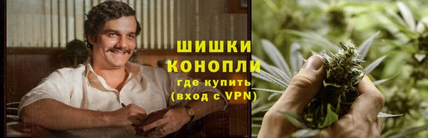 гидра Алексин
