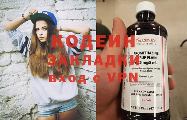 хмурый Алзамай