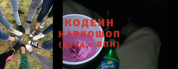 хмурый Алзамай